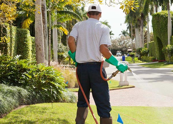 About Van WV Pest Control